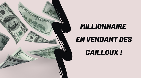 Gary Dahl, millionnaire en vendant des...cailloux !